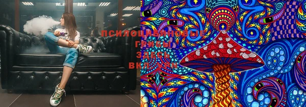 шишки Балахна