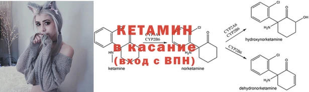 ГАЛЛЮЦИНОГЕННЫЕ ГРИБЫ Елабуга