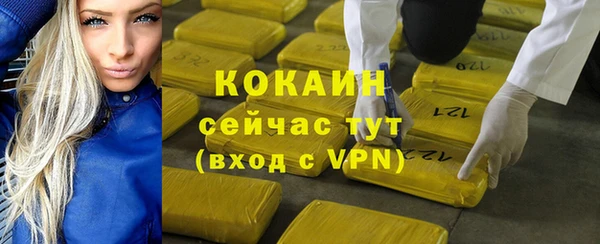 шишки Балахна
