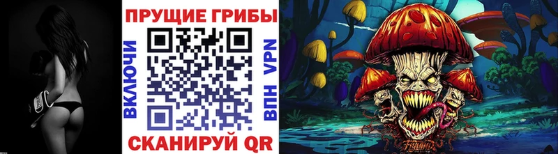 площадка телеграм  Белозерск  Галлюциногенные грибы GOLDEN TEACHER  закладки 